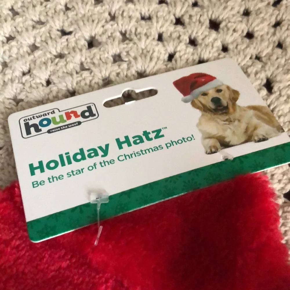 Christmas Holiday Santa Dog Hat